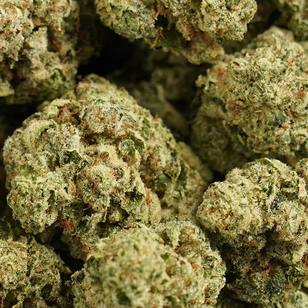 GG4 Gorilla Glue -  3.5g Indoor Soil Grown Premium NUGS - Kaif