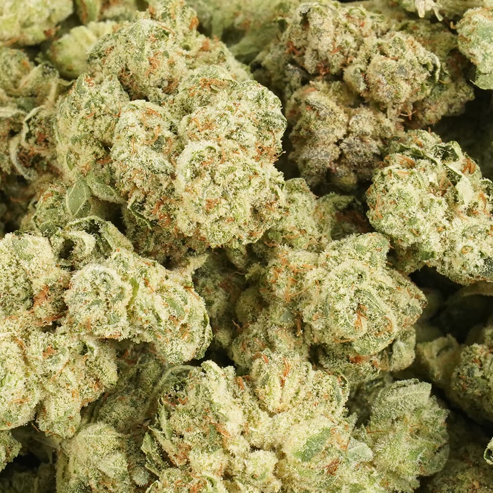 GG4 Gorilla Glue -  3.5g Indoor Soil Grown Premium NUGS - Kaif