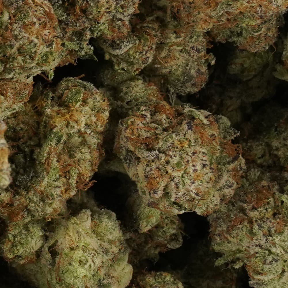 Jungle Cake -  3.5g Indoor Soil Grown Premium NUGS - Kaif