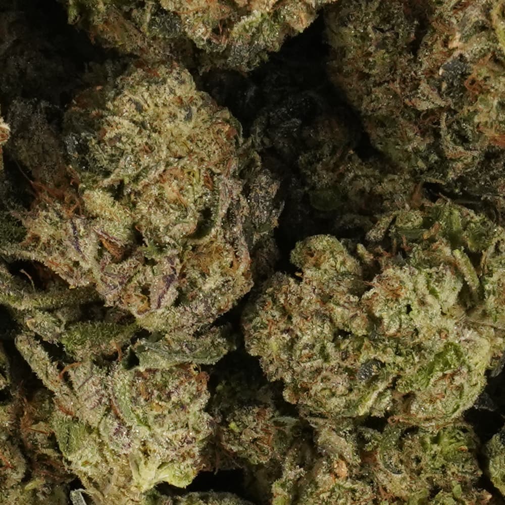Kushlato -  3.5g Indoor Soil Grown Premium NUGS - Kaif