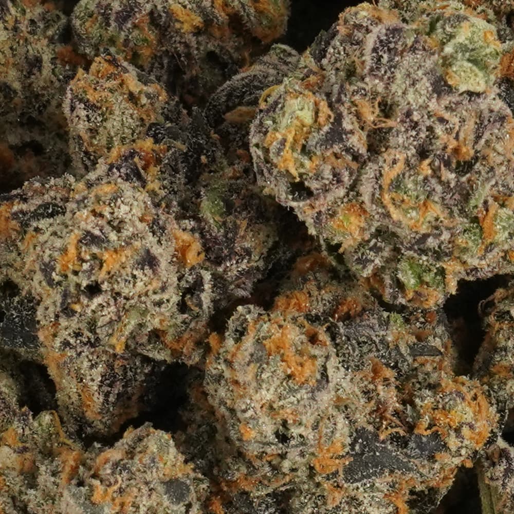 Blue Sherbert - 3.5g Indoor Soil Grown Premium NUGS - Kaif