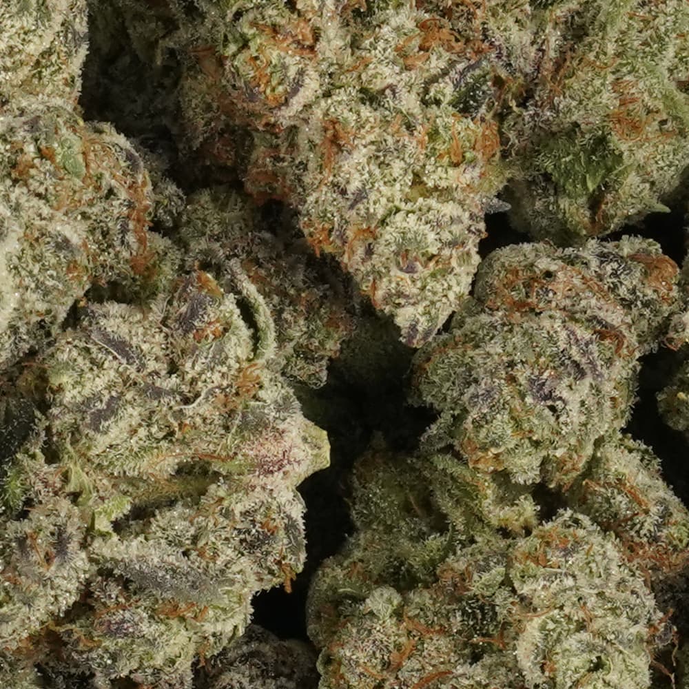 Strawberry Gelato -  3.5g Indoor Soil Grown Premium NUGS - Kaif