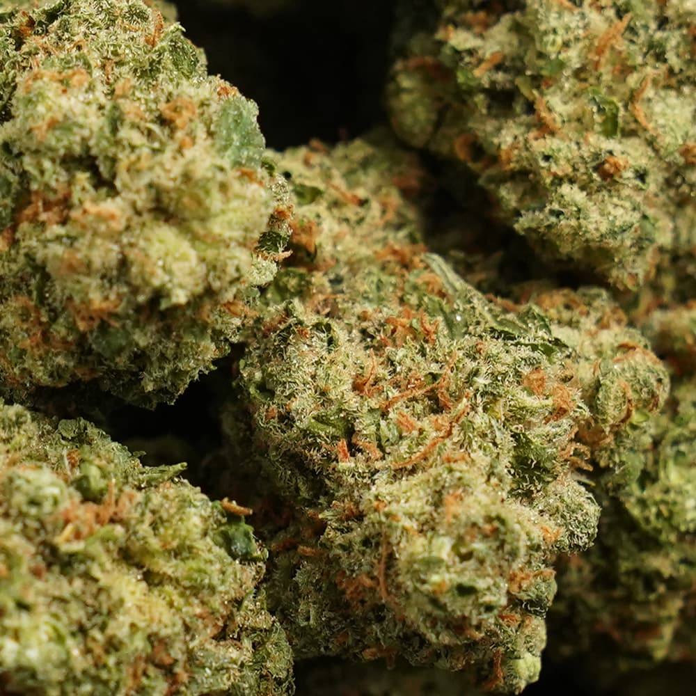 Super Jack - 3.5g Indoor Soil Grown Premium NUGS - Kaif