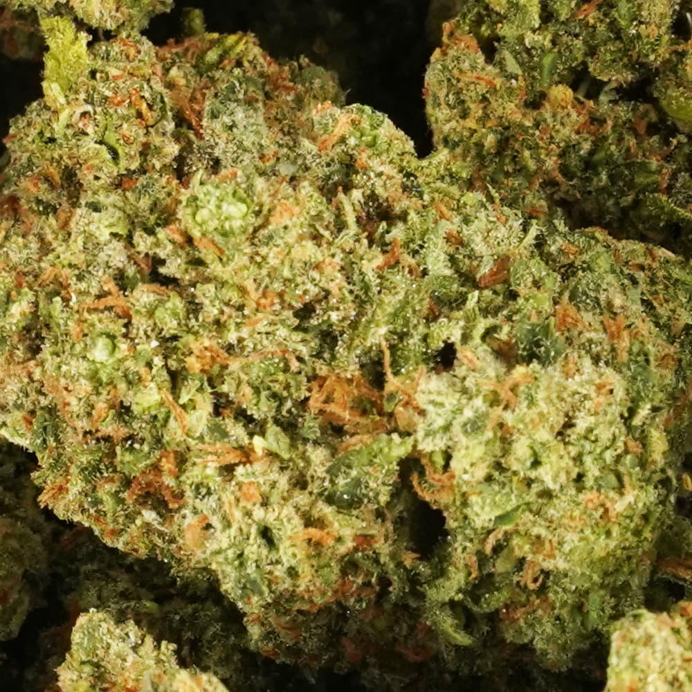 Super Jack - 3.5g Indoor Soil Grown Premium NUGS - Kaif