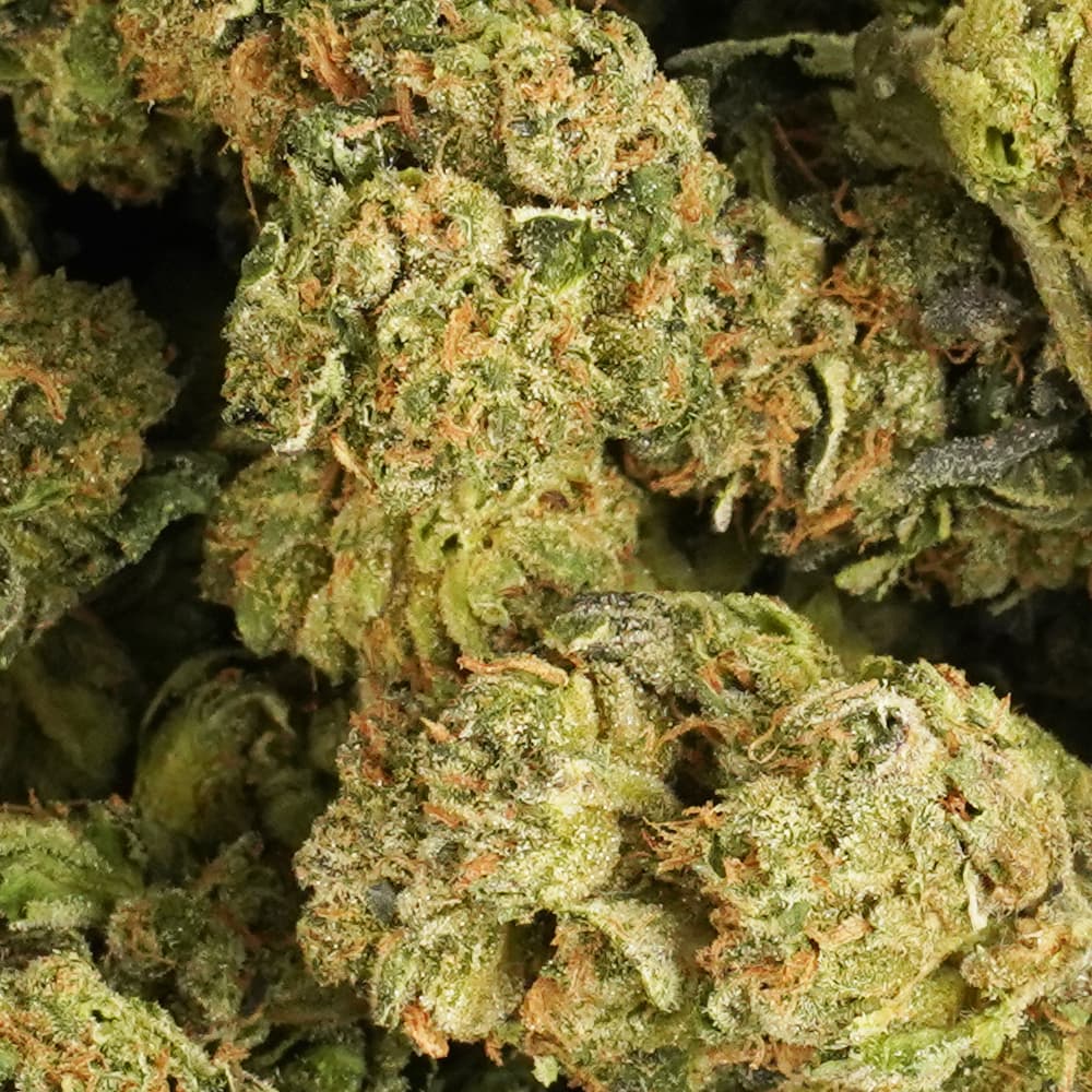 Candyland - 3.5g Indoor Soil Grown Premium NUGS - Kaif