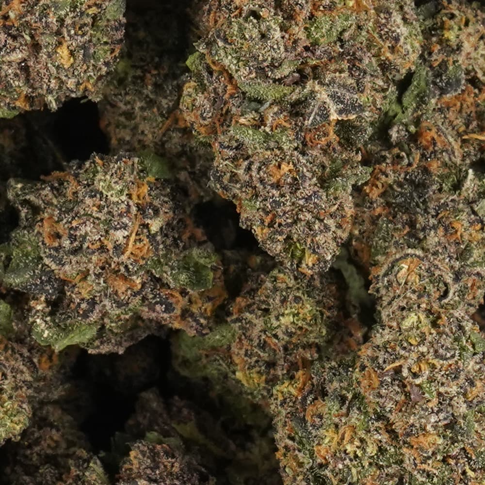 Cloud 9 -  3.5g Indoor Soil Grown Premium NUGS - Kaif
