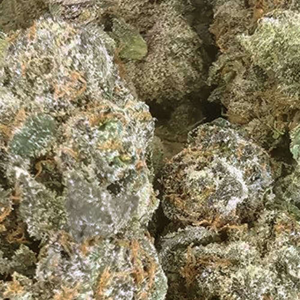 Double Runtz - 3.5g Indoor Soil Grown Premium NUGS - Kaif