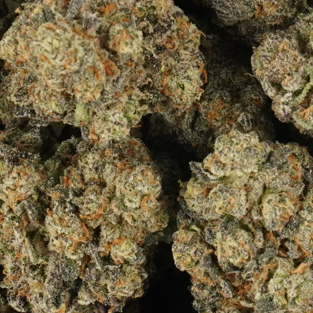 Astro Mintz - 3.5g Indoor Soil Grown Premium NUGS - Kaif
