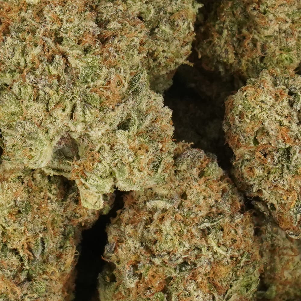 Cookie Dough - 3.5g Indoor Soil Grown Premium NUGS - Kaif