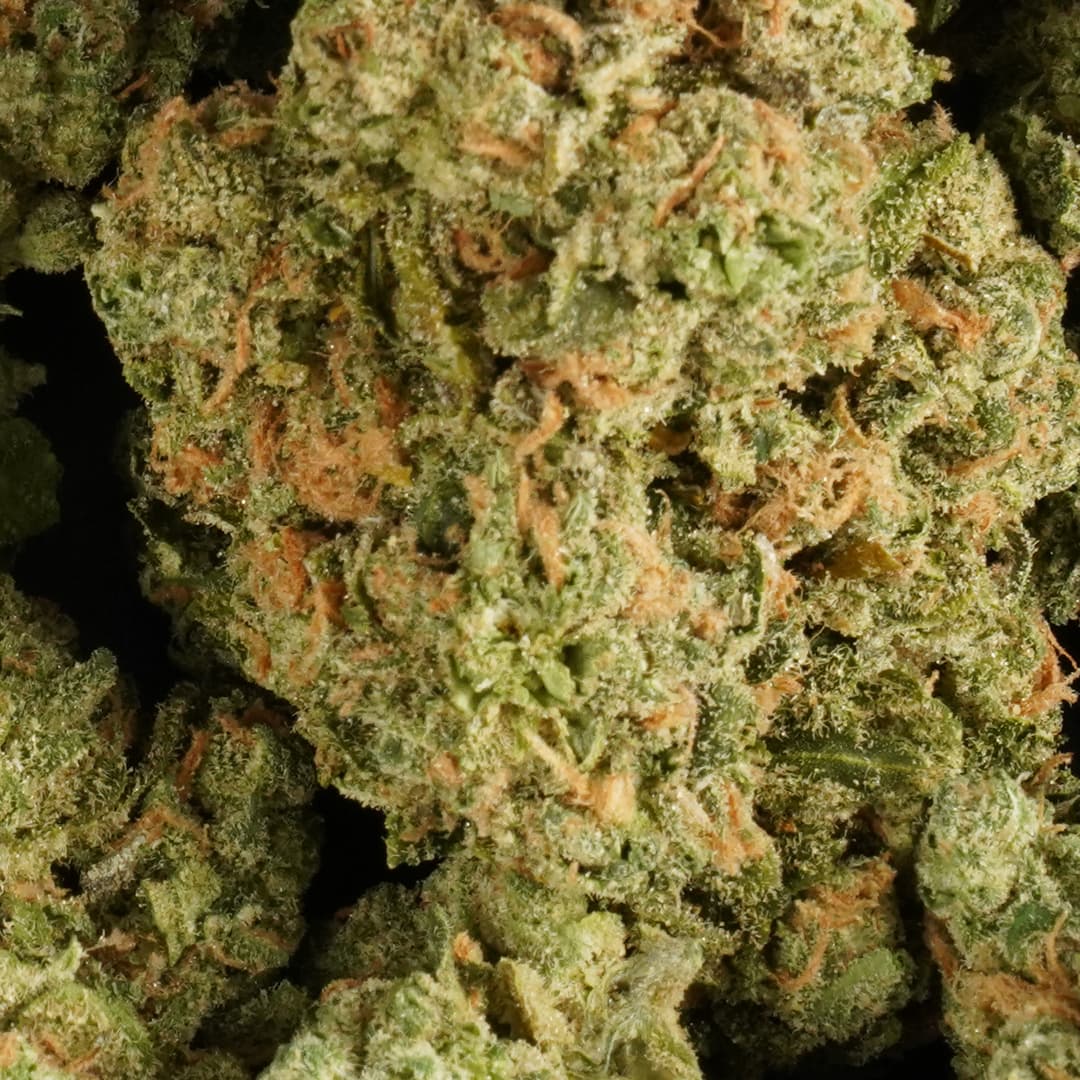 Blue Dream  -  3.5g Indoor Soil Grown PREMIUM Bud - Kaif