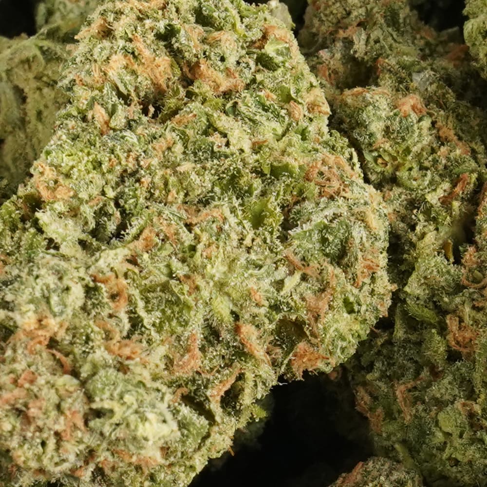 Blue Dream - 3.5g Indoor Soil Grown Premium NUGS - Kaif