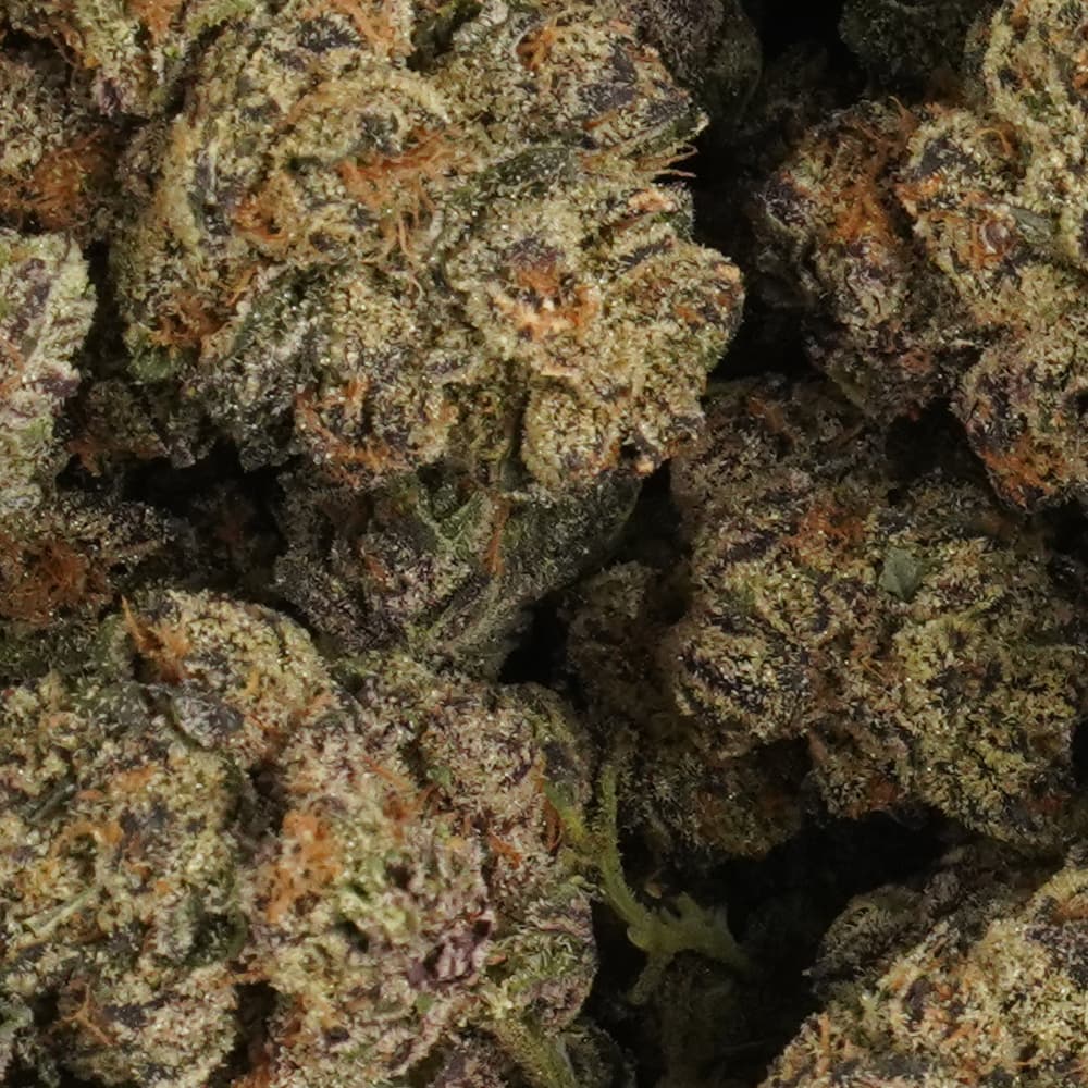 Purple Cream Cake - 3.5g Indoor Soil Grown Premium NUGS - Kaif