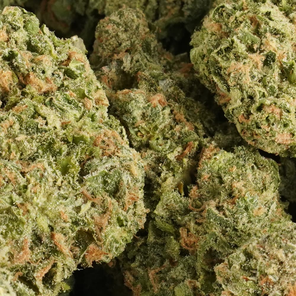 Cheetah Piss - 3.5g Indoor Soil Grown Premium NUGS - Kaif