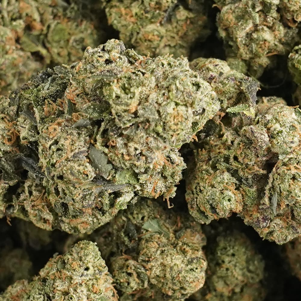 LCG***Smell to die for*Best LCG cut*Loud - 3.5g Indoor Soil Grown Premium NUGS - Kaif