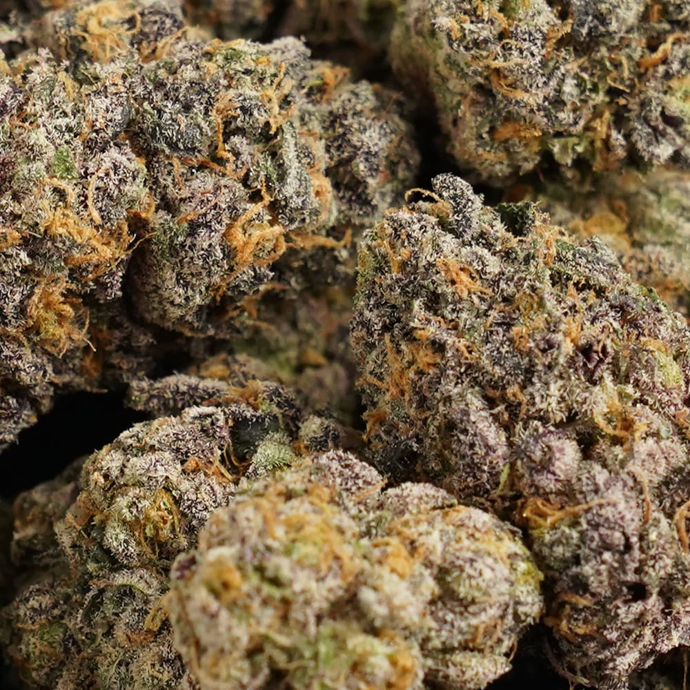 Bay Area Pop Rocks -  3.5g Indoor Soil Grown Premium NUGS - Kaif
