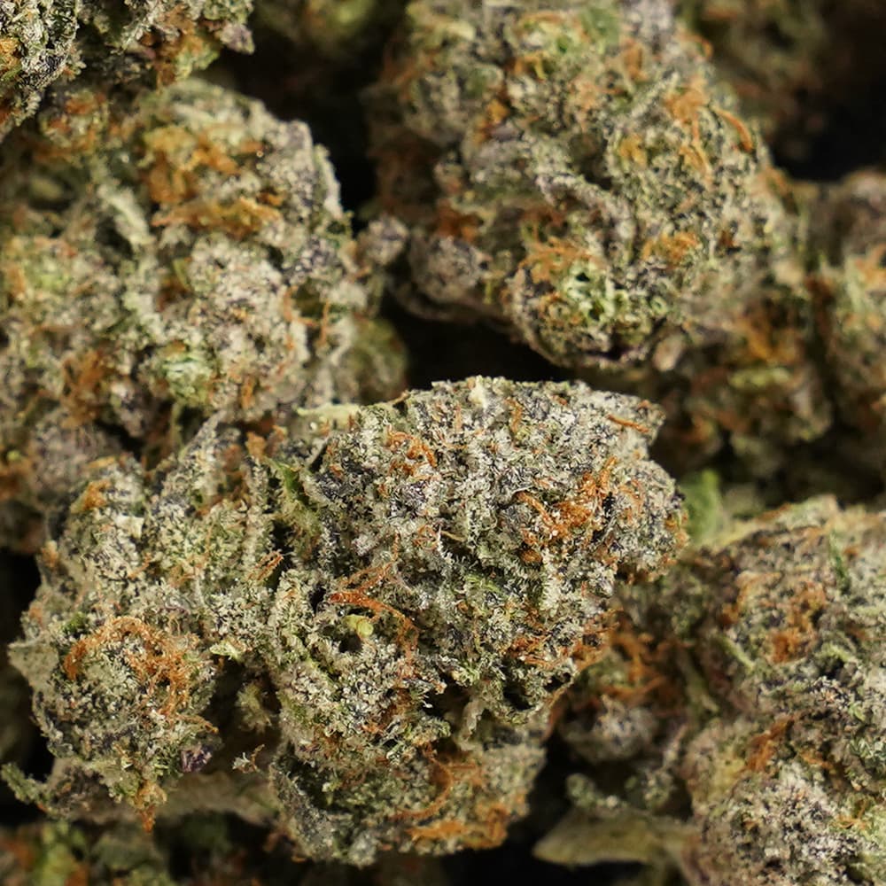 Candy Fumes -  3.5g Indoor Soil Grown Premium NUGS - Kaif