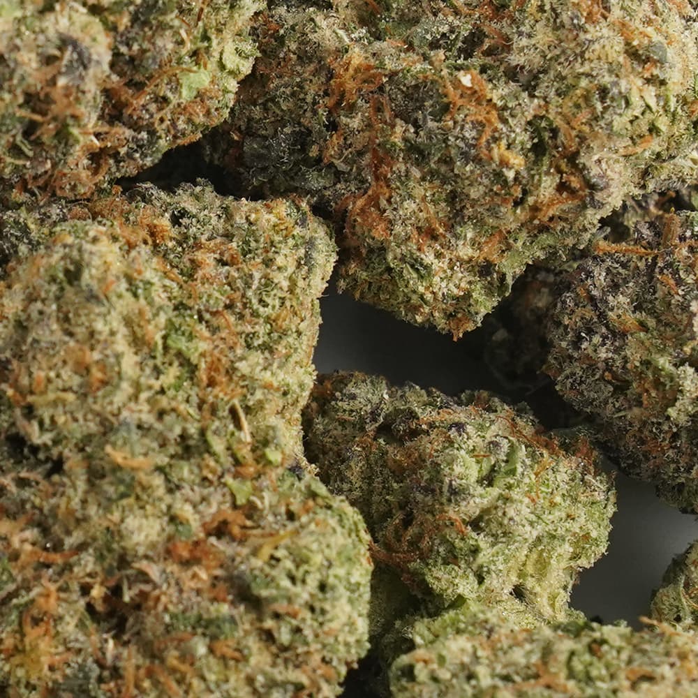 Blue Chip - 3.5g Indoor Soil Grown Premium NUGS - Kaif