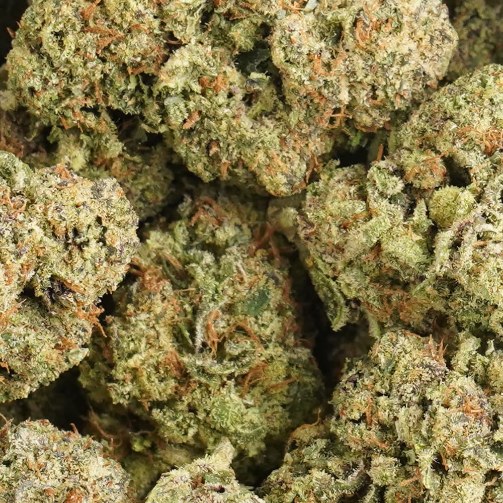 Rozay -  3.5g Indoor Soil Grown Premium NUGS - Kaif