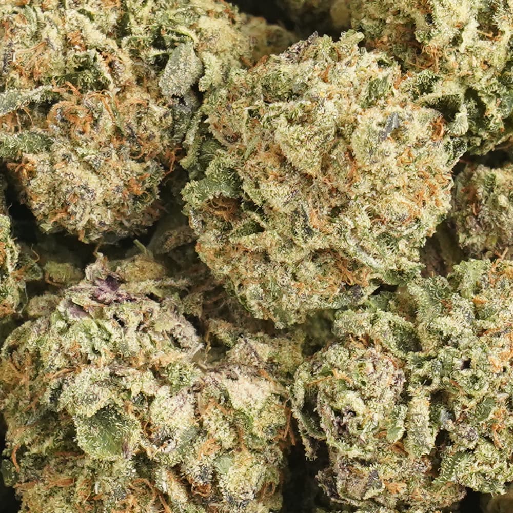 Caked Up Candy -  3.5g Indoor Soil Grown Premium NUGS - Kaif