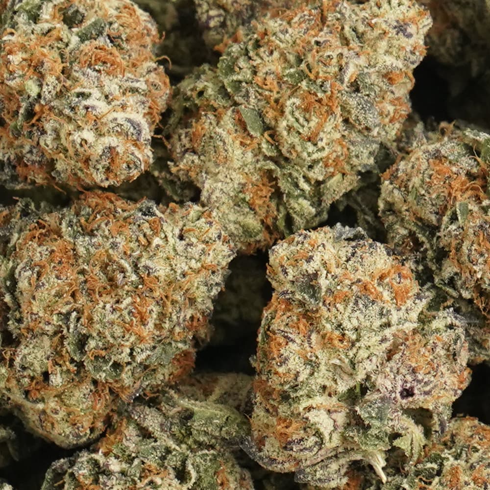 Wedding Pie -  3.5g Indoor Soil Grown Premium NUGS - Kaif