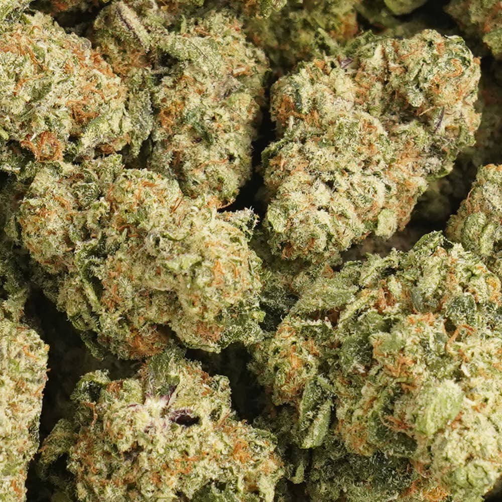 Donkey Kong -  3.5g Indoor Soil Grown Premium NUGS - Kaif