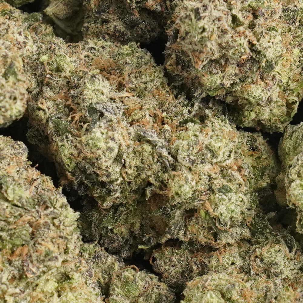 Hash Burgerz -  3.5g Indoor Soil Grown ARTISAN Bud - Kaif
