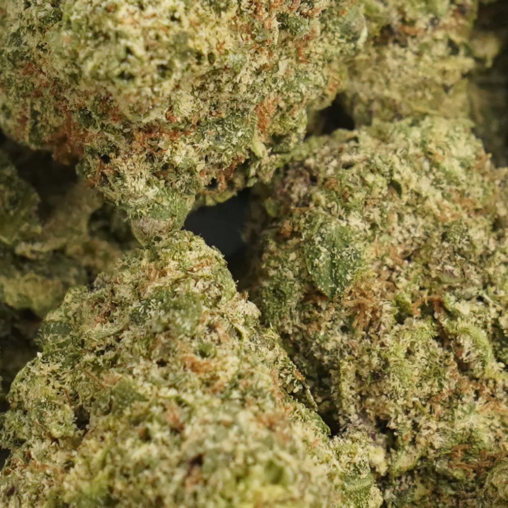 Zoap  -  3.5g Indoor Soil Grown PREMIUM Bud - Kaif