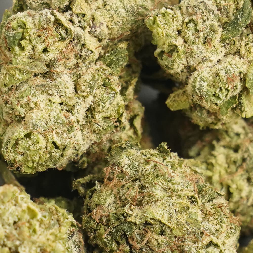 Cotton Candy -  3.5g Indoor Soil Grown PREMIUM Bud - Kaif
