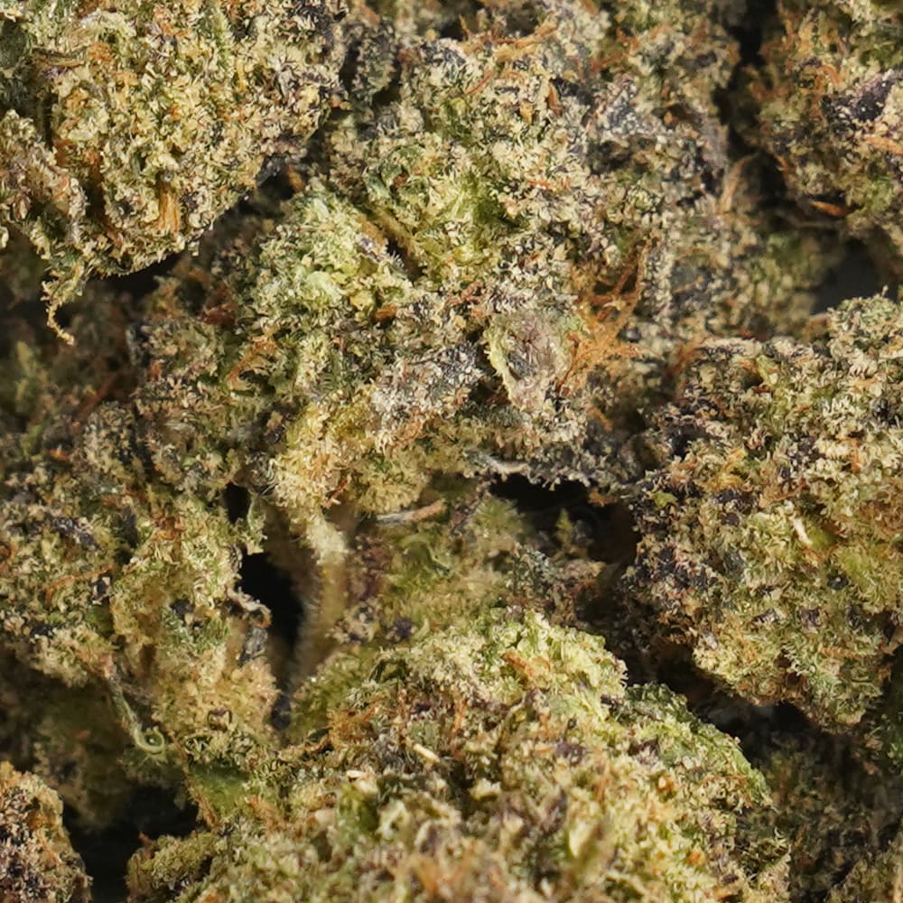 Sherb Cream Pie  -  3.5g Indoor Soil Grown PREMIUM Bud - Kaif