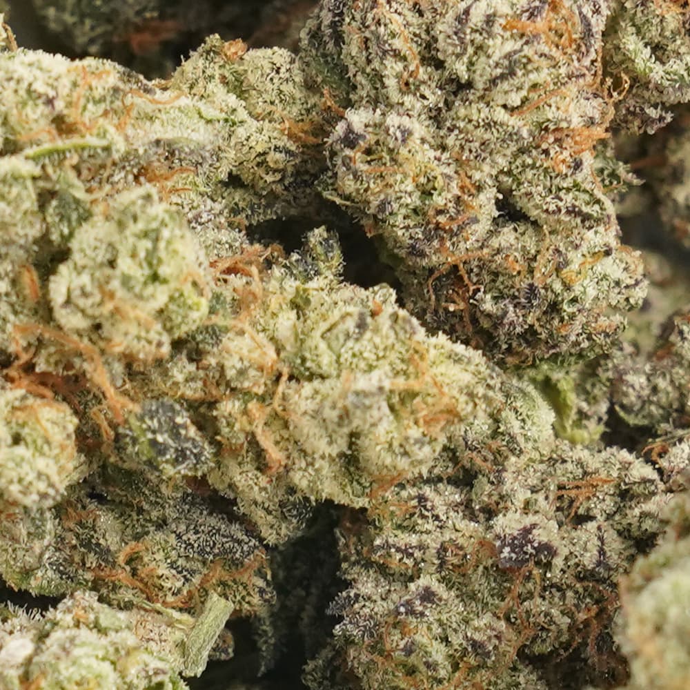 Purple Pop Rocks  -  3.5g Indoor Soil Grown PREMIUM Bud - Kaif