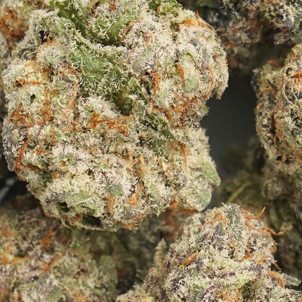 Illuminati  -  3.5g Indoor Soil Grown PREMIUM Bud - Kaif