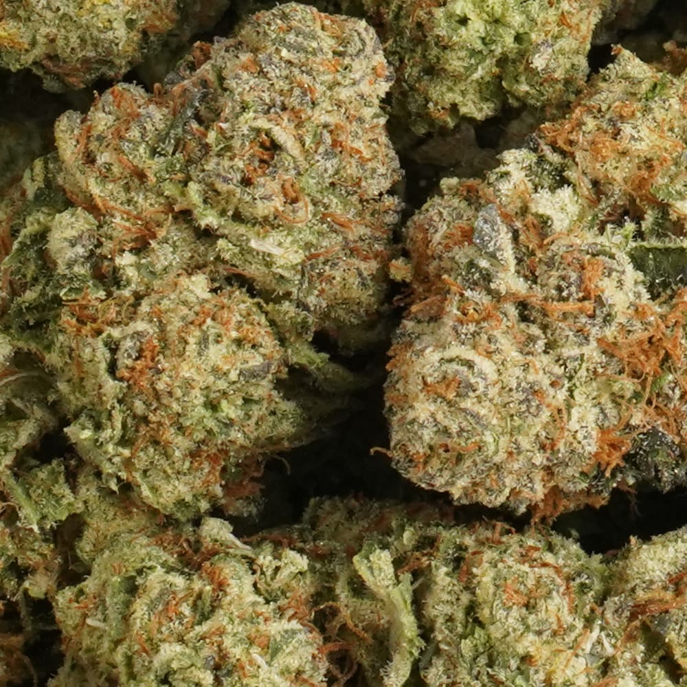 Grape Zkittles  -  3.5g Indoor Soil Grown PREMIUM Bud - Kaif