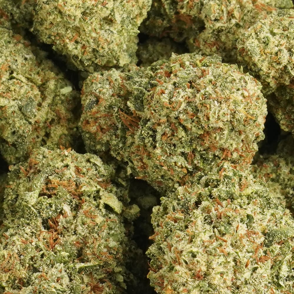BHX  -  3.5g Indoor Soil Grown PREMIUM Bud - Kaif
