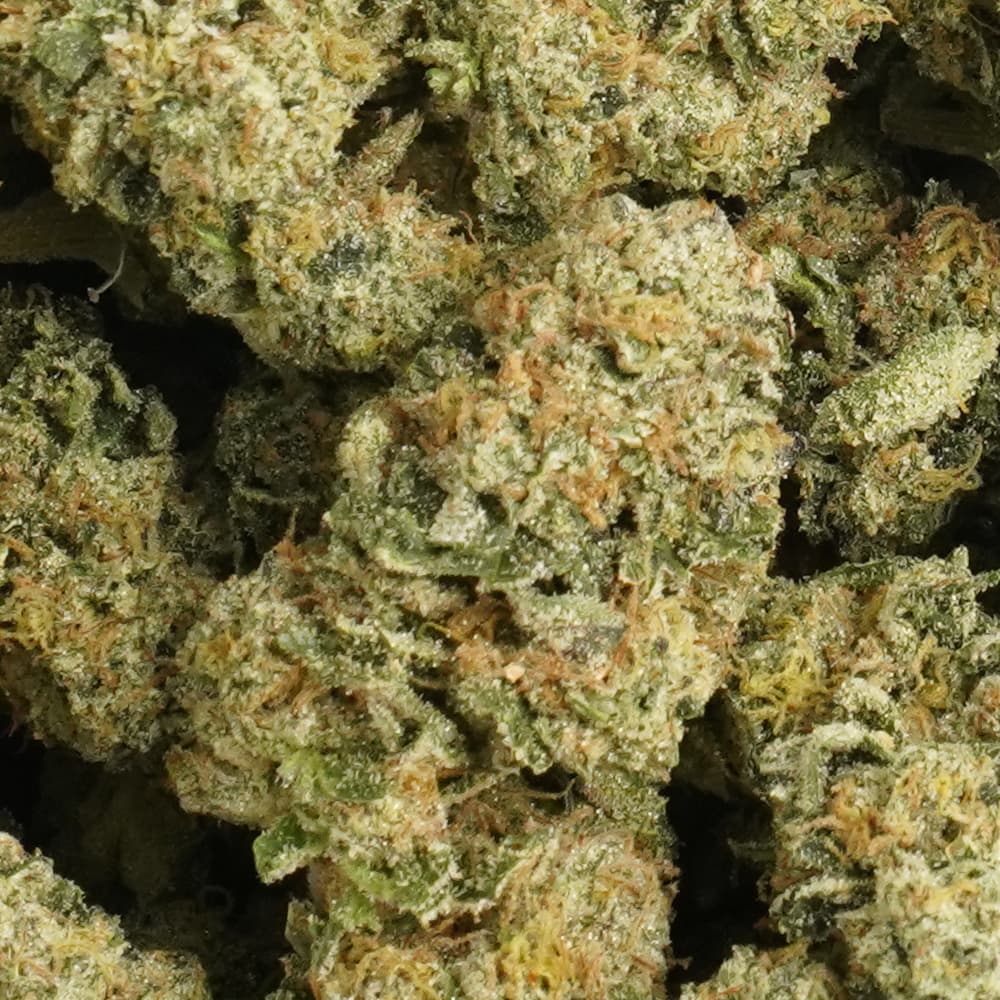 Grape Cream Cake  -  3.5g Indoor Soil Grown PREMIUM Bud - Kaif
