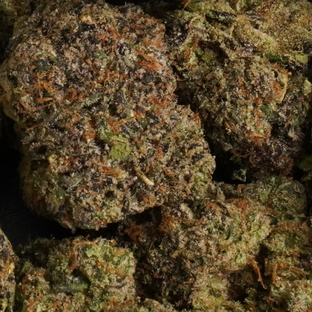 Biscotti -  3.5g Indoor Soil Grown PREMIUM Bud - Kaif