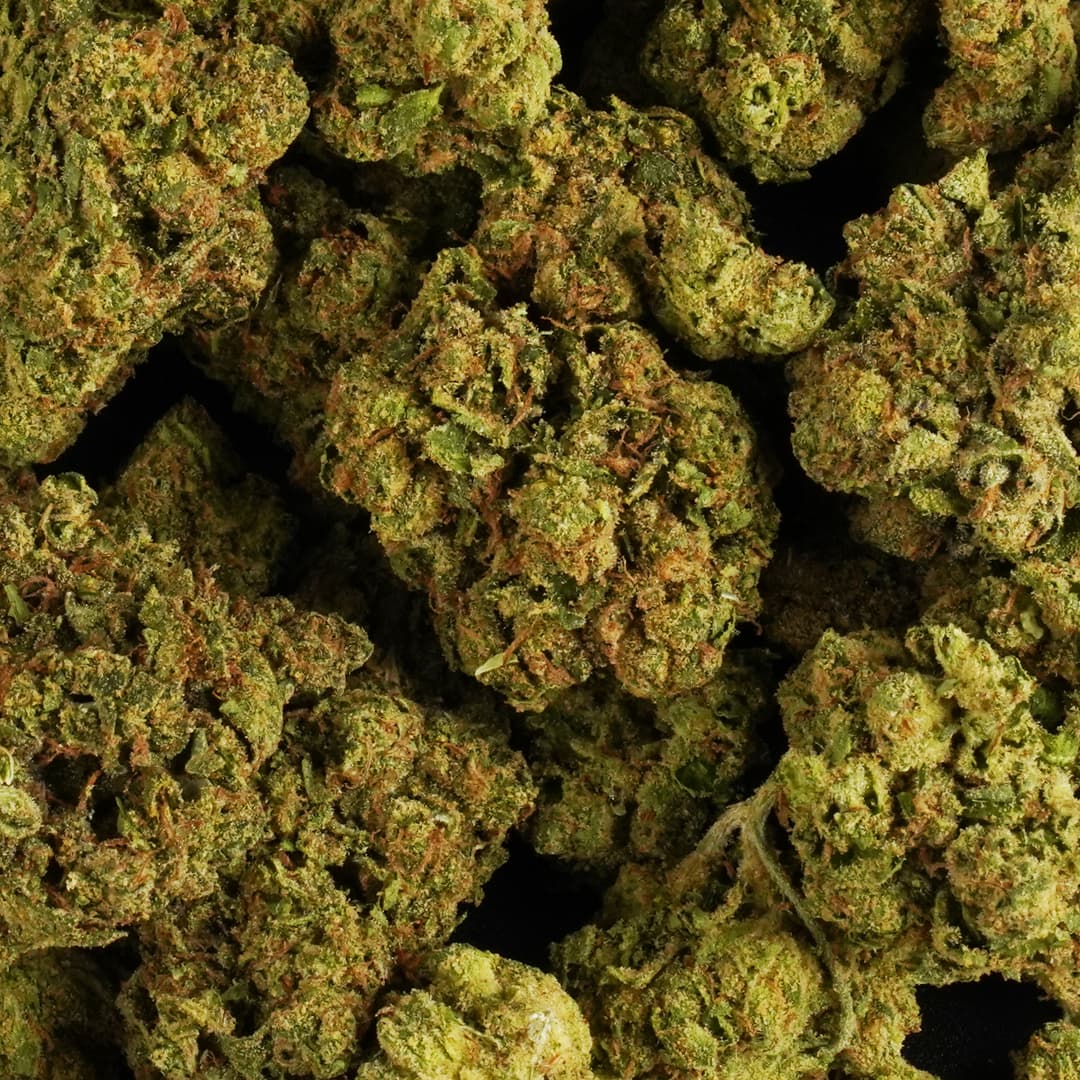 LEMON CHERRY GELATO - 1oz GREENHOUSE PREMIUM FLOWER - Chernobyl Green Grass