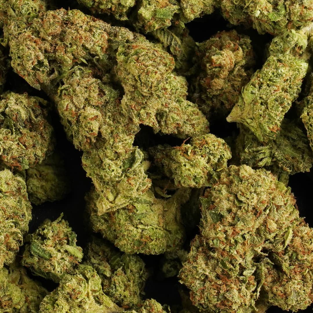 GUMBO - 1oz GREENHOUSE PREMIUM FLOWER - Chernobyl Green Grass