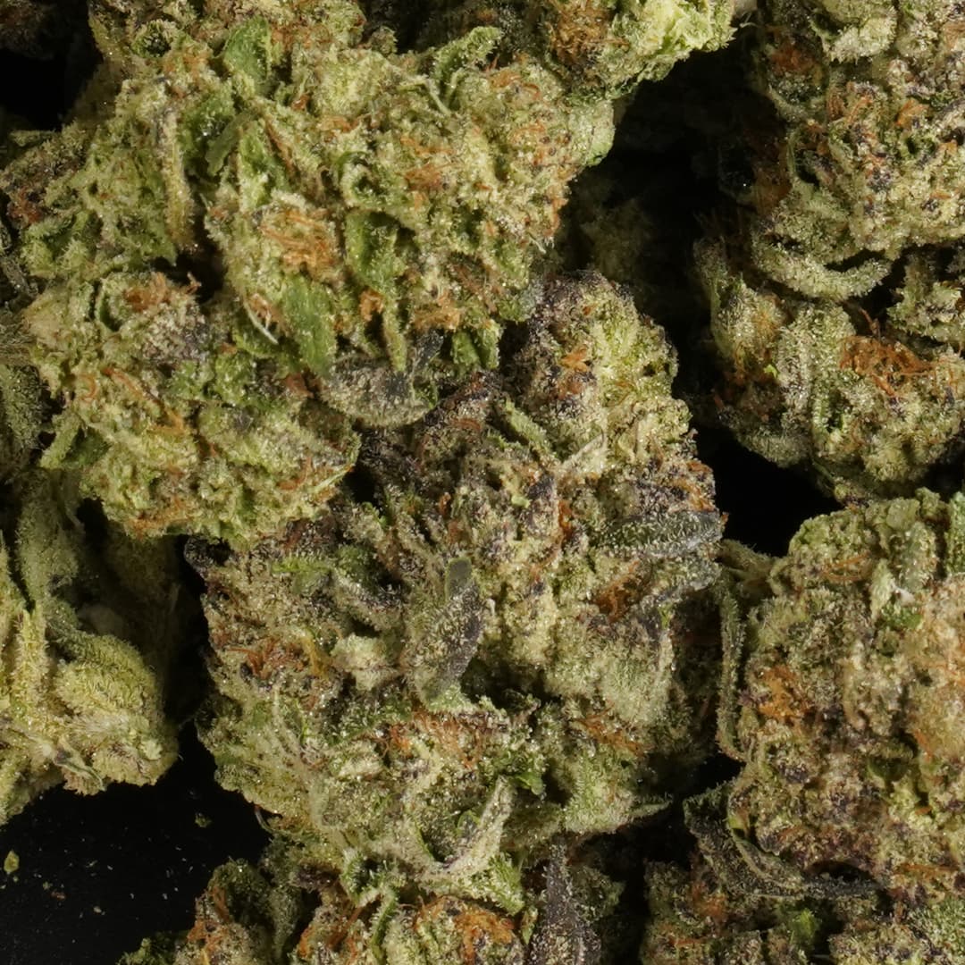 WHITE TRUFFLE - 1oz GREENHOUSE PREMIUM FLOWER - Chernobyl Green Grass