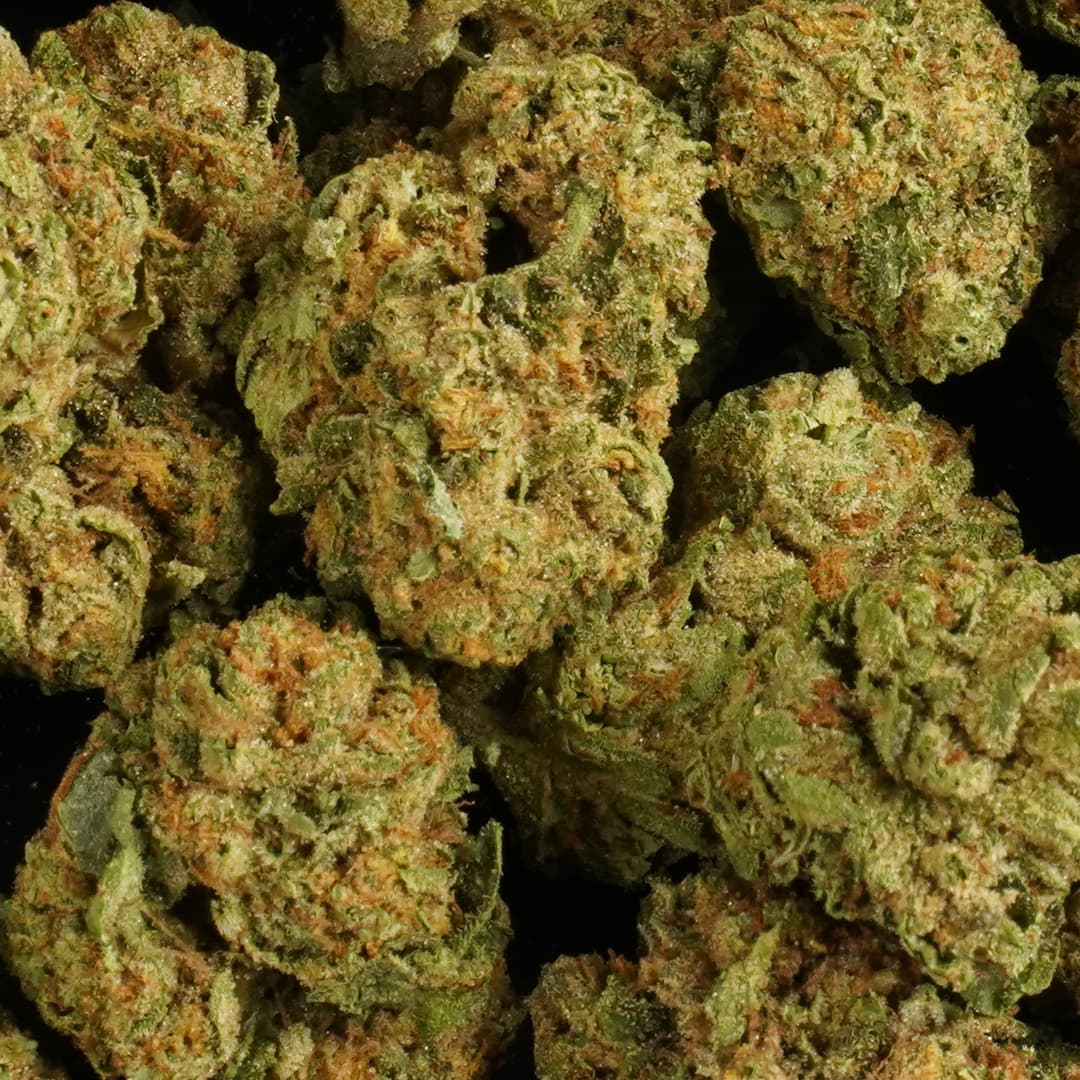 RAINBOW SHERB - 1oz GREENHOUSE PREMIUM FLOWER - Chernobyl Green Grass