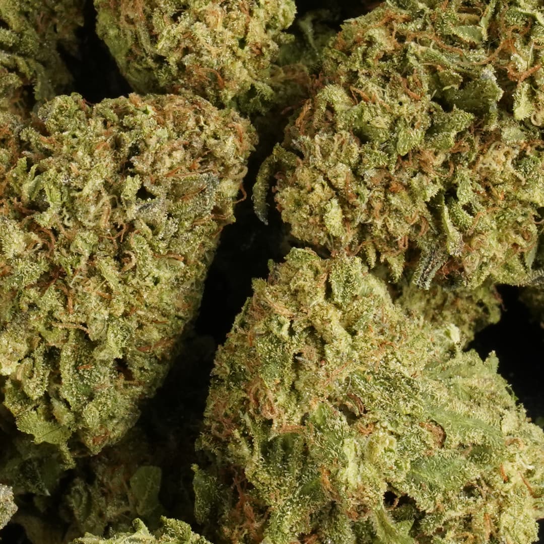 ICE CREAM CAKE - 1oz GREENHOUSE PREMIUM FLOWER - Chernobyl Green Grass