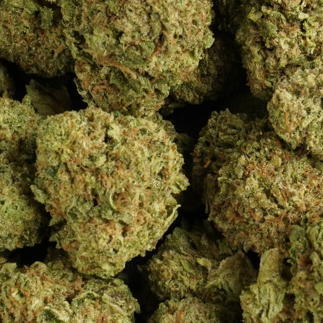 JELLY CAKE - 1oz GREENHOUSE PREMIUM FLOWER - Chernobyl Green Grass