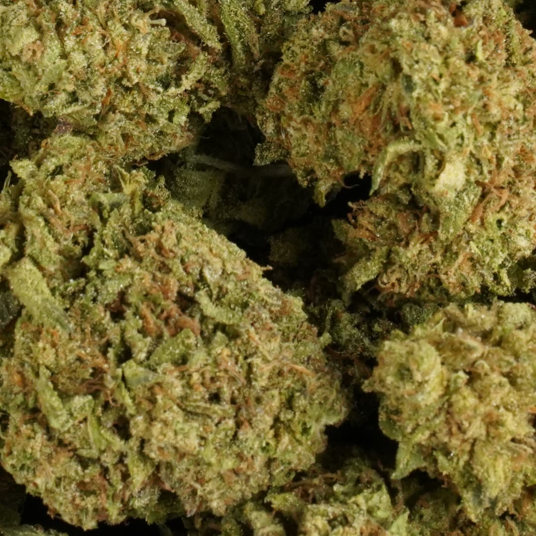 BLUE COOKIES - 1oz GREENHOUSE PREMIUM FLOWER - Chernobyl Green Grass