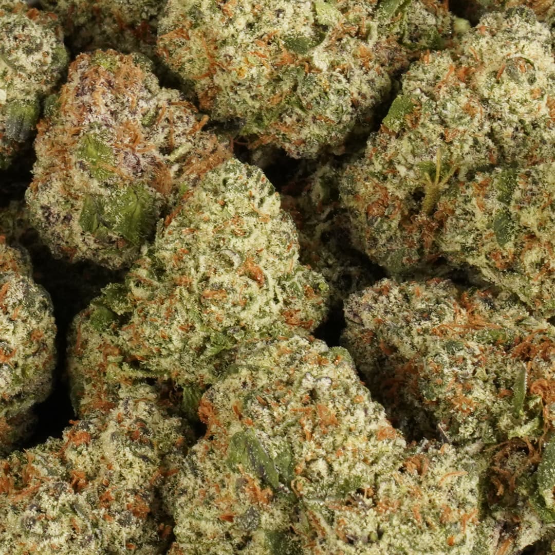 Pineapple Candy - 3.5g Indoor Soil Grown PREMIUM Bud - Kaif