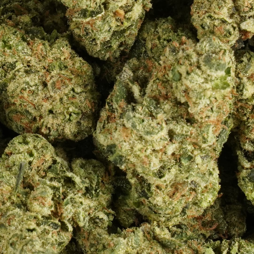 Motorbreath  -  3.5g Indoor Soil Grown PREMIUM Bud - Kaif