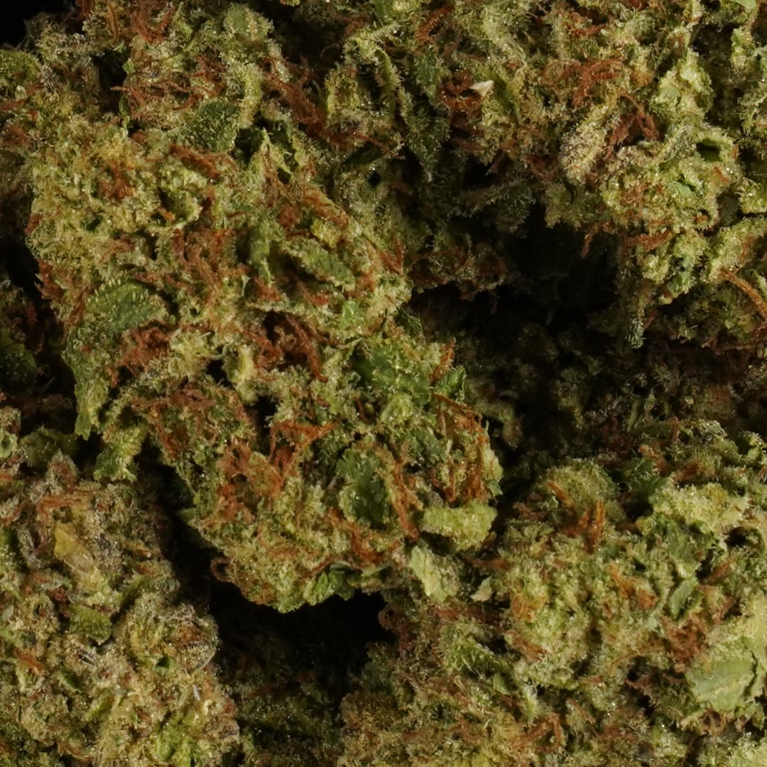 JELLY PIE - 1oz GREENHOUSE PREMIUM FLOWER - Chernobyl Green Grass