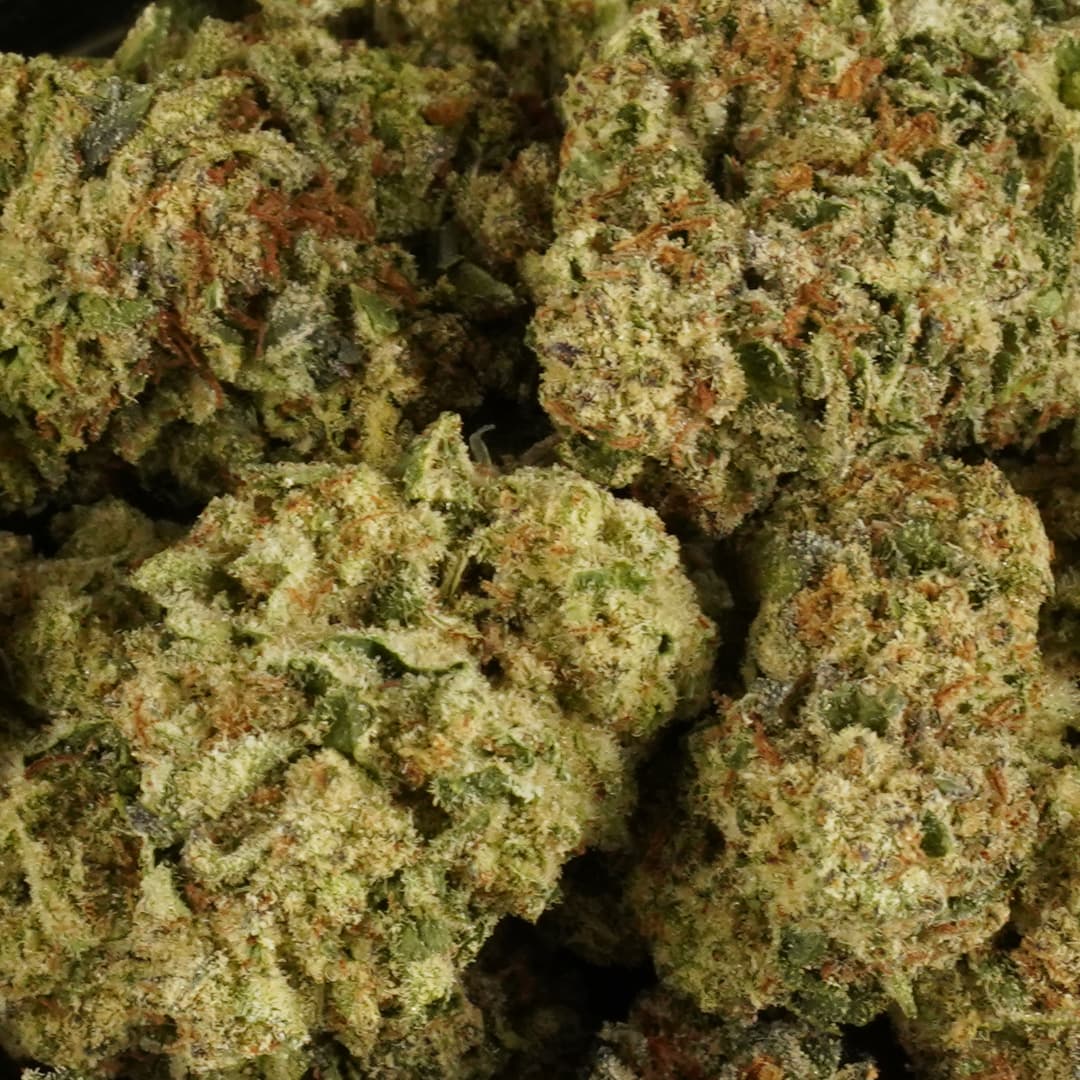 EL CHIVO (OG Kush Breath X Blueberry Headband) - 1oz GREENHOUSE PREMIUM FLOWER - Chernobyl Green Grass