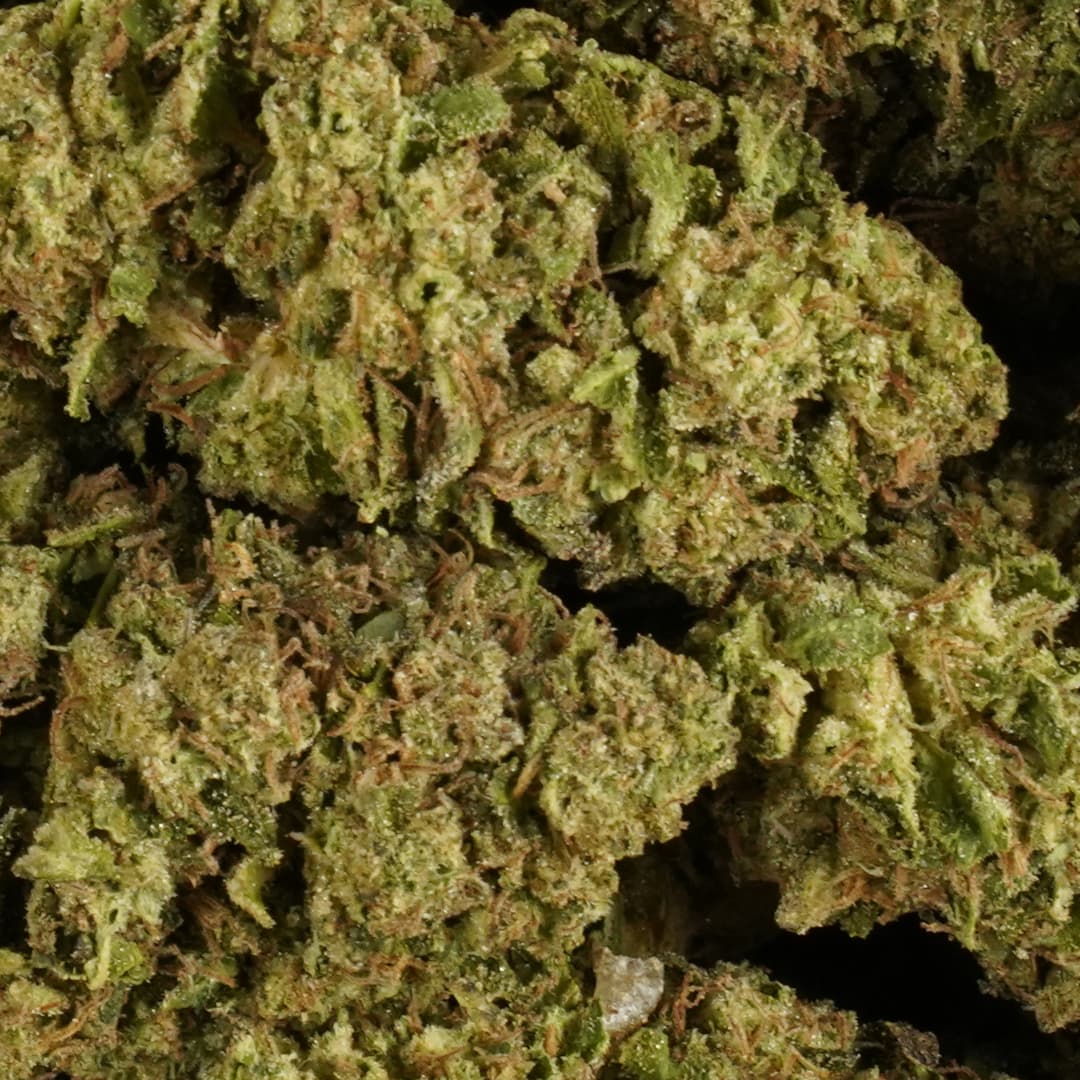 TRIPLE SCOOP - 1oz GREENHOUSE PREMIUM FLOWER - Chernobyl Green Grass