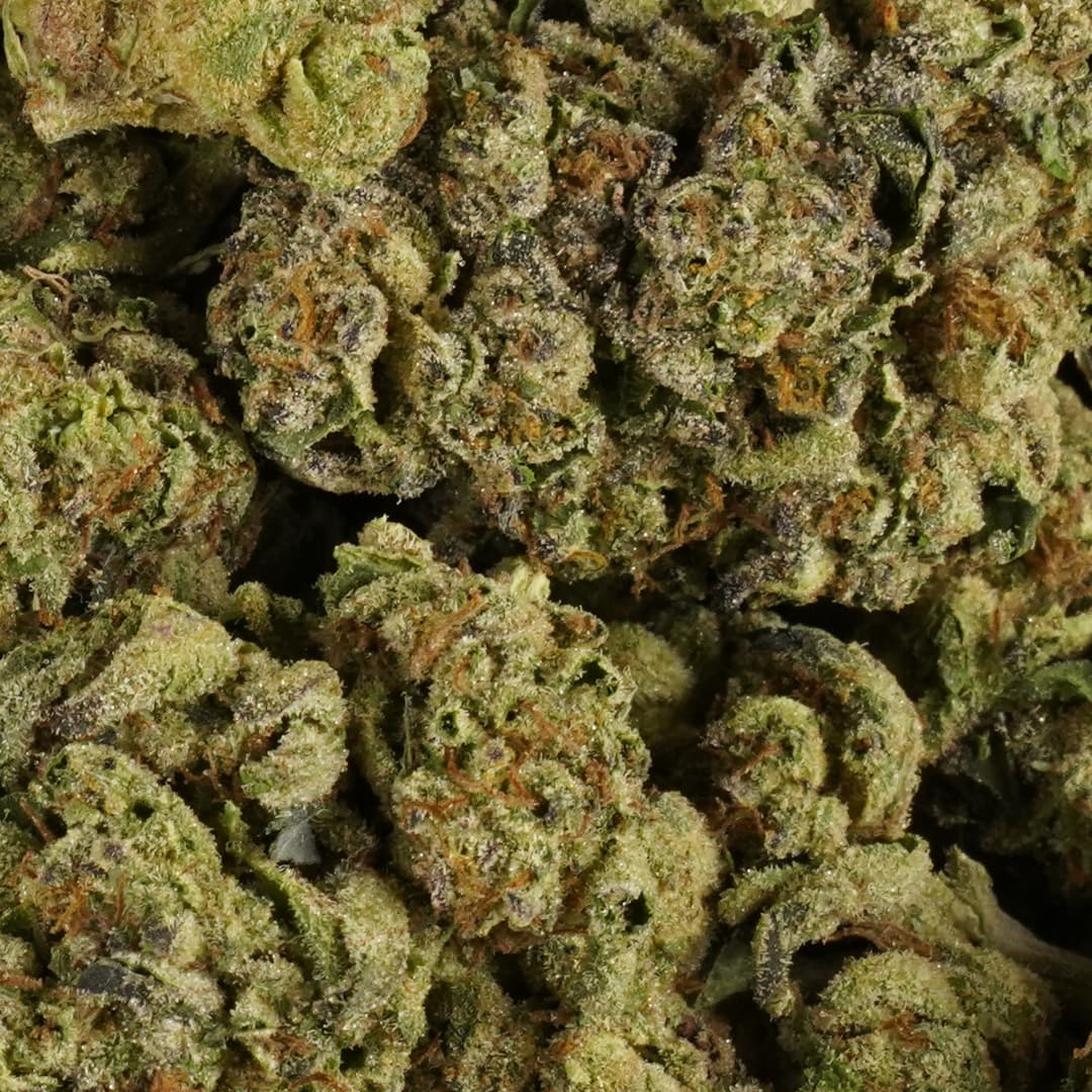 MONSTER COOKIES - 1oz GREENHOUSE PREMIUM FLOWER - Chernobyl Green Grass